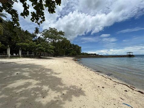 mapua davao|Home .